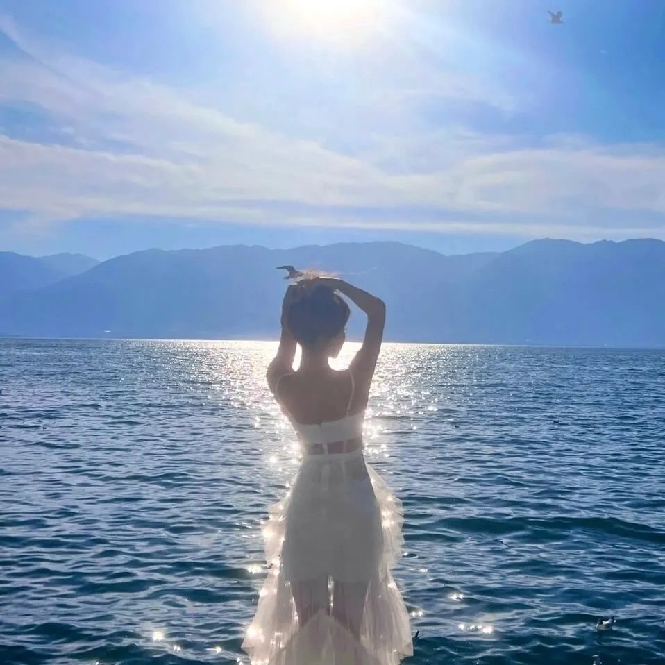 蚊子海岸第二季